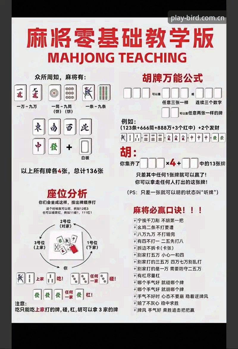 5个关键步骤教你玩转小鸟棋牌平台——2025年新手必备的棋牌游戏体验指南