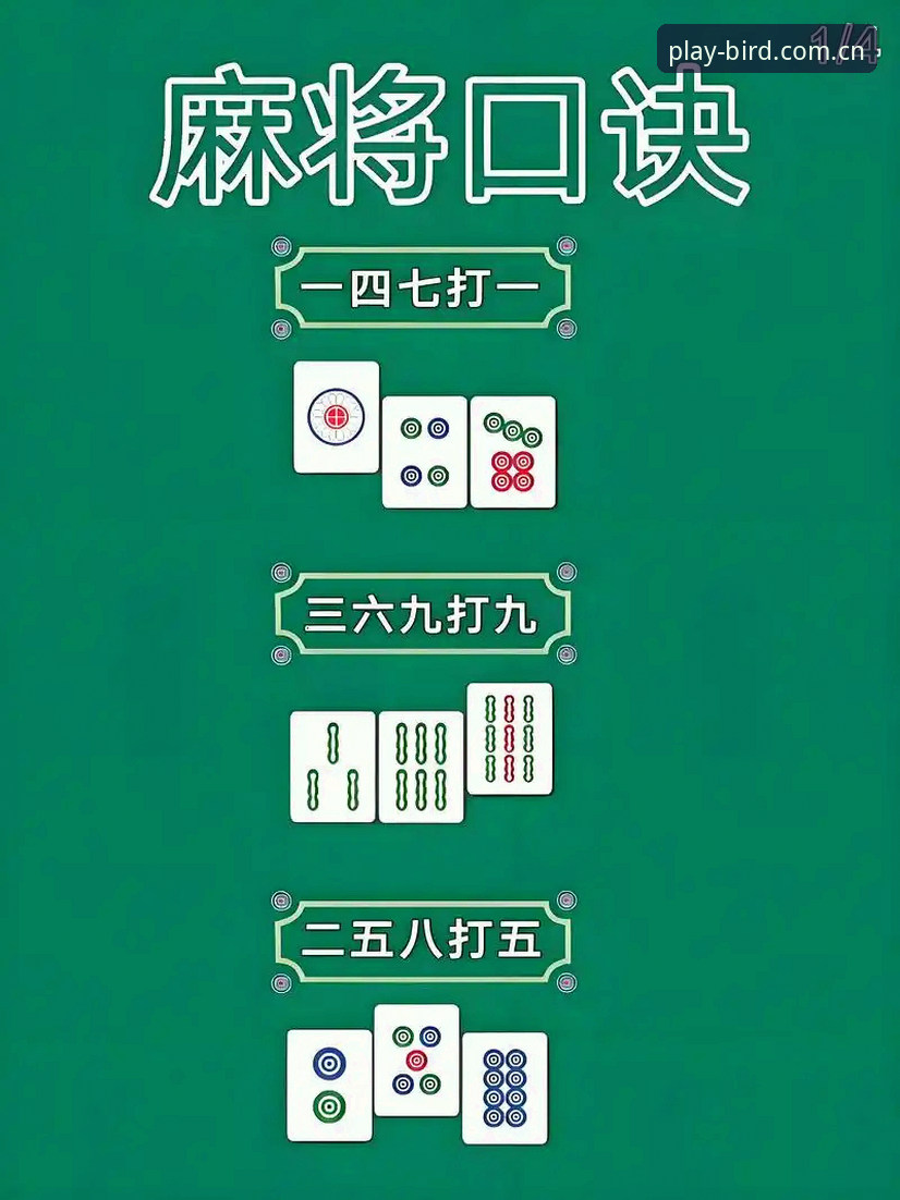 Bird棋牌APP安卓 小鸟棋牌平台快速上手指南:Bird棋牌APP安卓安装与设置教程